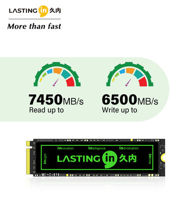 M.2 NVMe PCIe 4.0 SSD 512GB-4TB 7450MB/s Read Speed