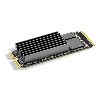 M.2 PCIe 4.0 NVMe SSD 2TB 7450MB/s Read Speed for Laptop