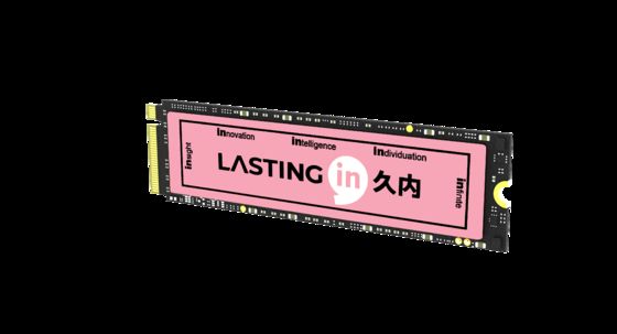 SSD M.2 Nvme Pcle 4.0 1tb 2280 Industrial Grade Internal Hard Drive
